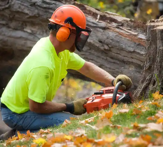 tree services Las Vegas